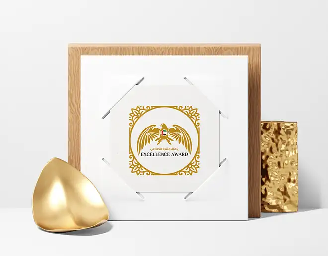 Excellence Award UAE